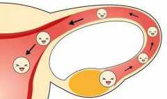 沈阳代怀 助孕,沈阳盛京医院试管自然周期囊胚移植有哪些流程？