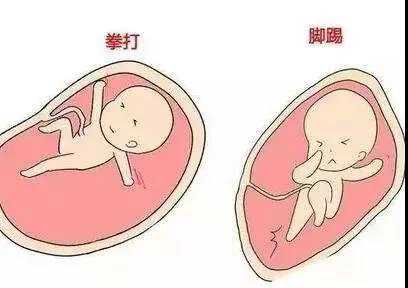 切除子宫颈怀孕_子宫切除能生育吗_囊胚培育对于美国试管婴儿有着怎样的要求