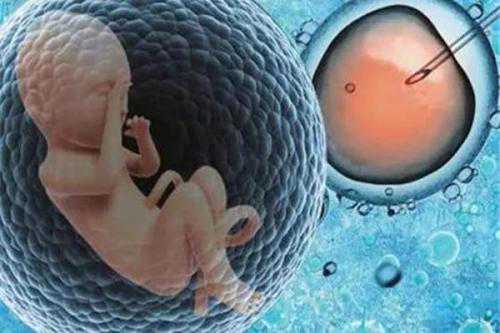 在切除子宫前怀孕_切除子宫 生育_试管婴儿自然周期卵泡不长是怎么回事？