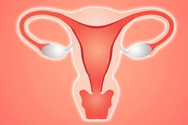精子活力低怎么办_习惯性流产的过程_女性子宫畸形可以做试管婴儿吗？子宫畸