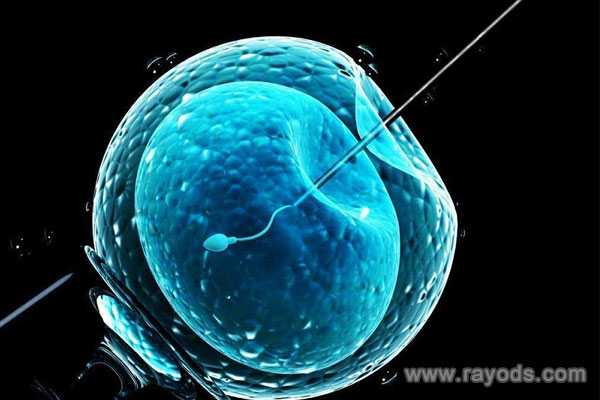 怀孕胚胎发育不全_有习惯性流产迹象_为什么有人说做试管婴儿会有后遗症？