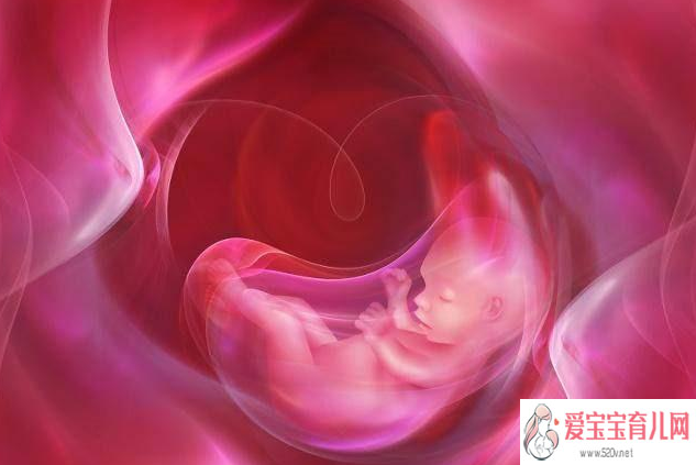 子宫内膜切除怀孕_女孩子宫被切除_武汉助孕试管婴儿胚胎移植后大约几天可以