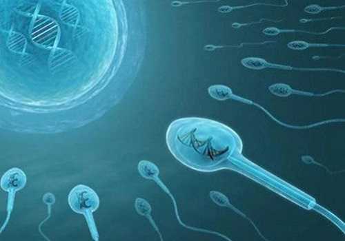 染色体异常不流产_切除子宫无法生育_5个方法提高美国试管婴儿冷冻胚胎移植成